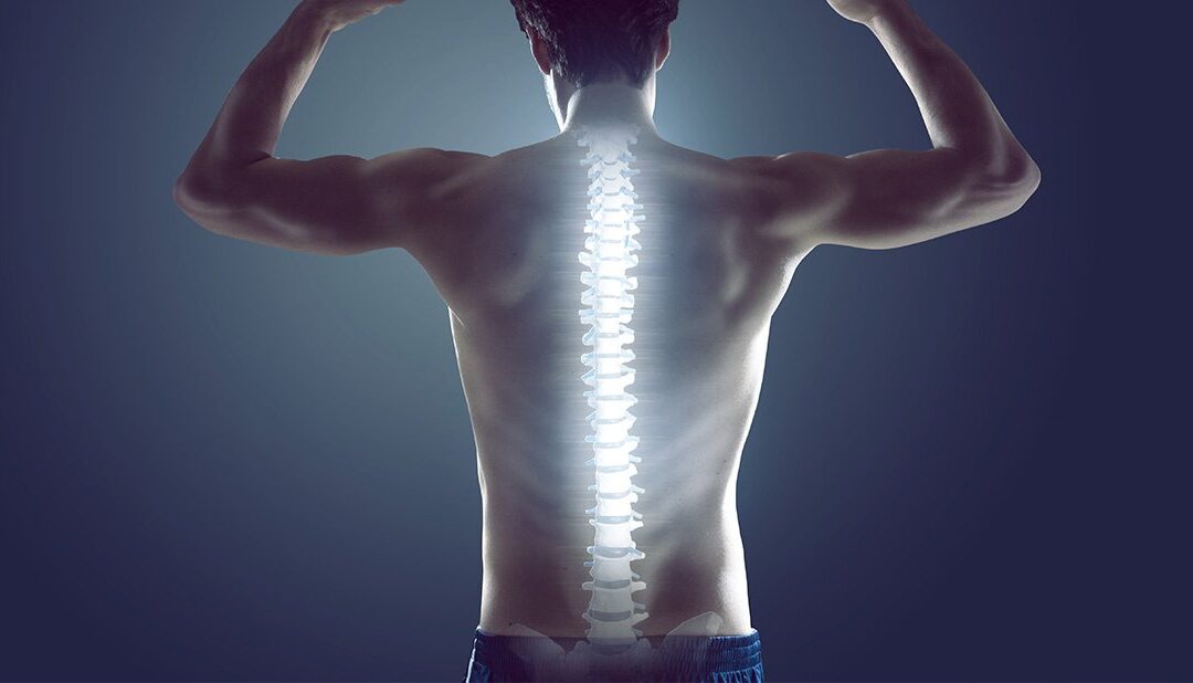 Spine Facts You Need to Know