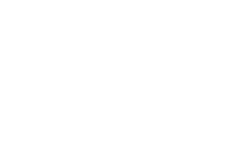 Whiteout Logo CEA